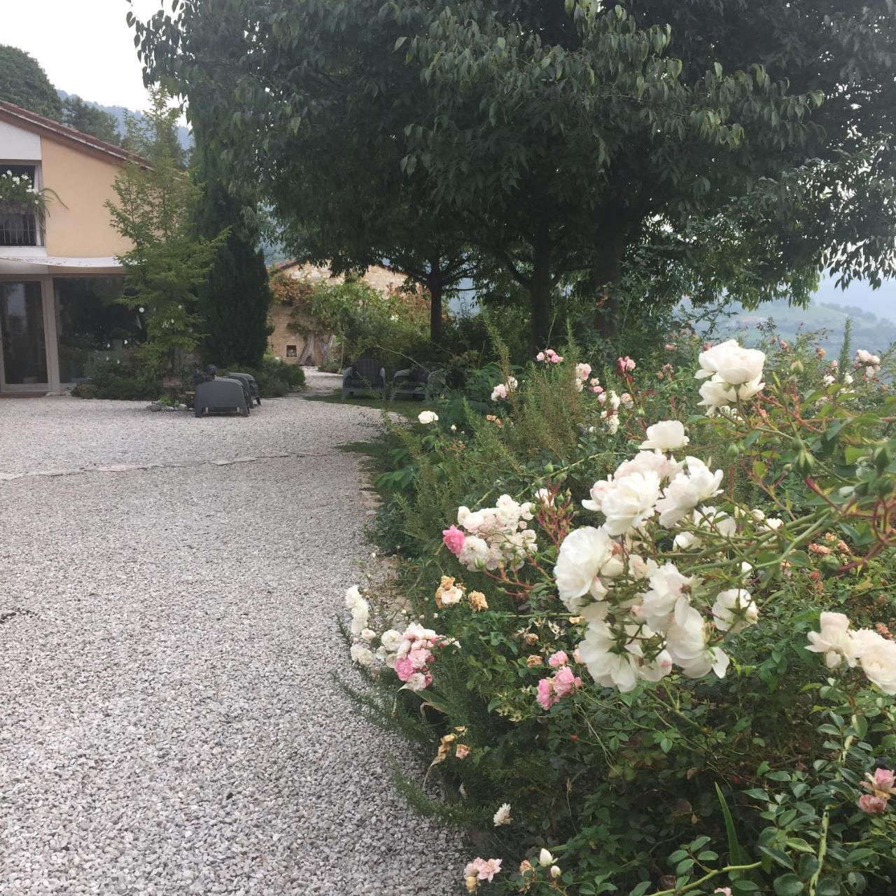 Villa Calvenere Exterior foto
